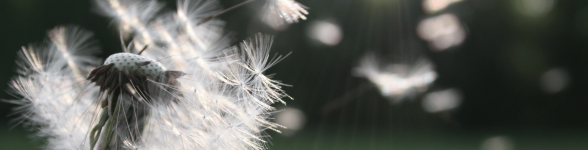 Hoe kan ik gelukkiger worden in het leven: 5 tips